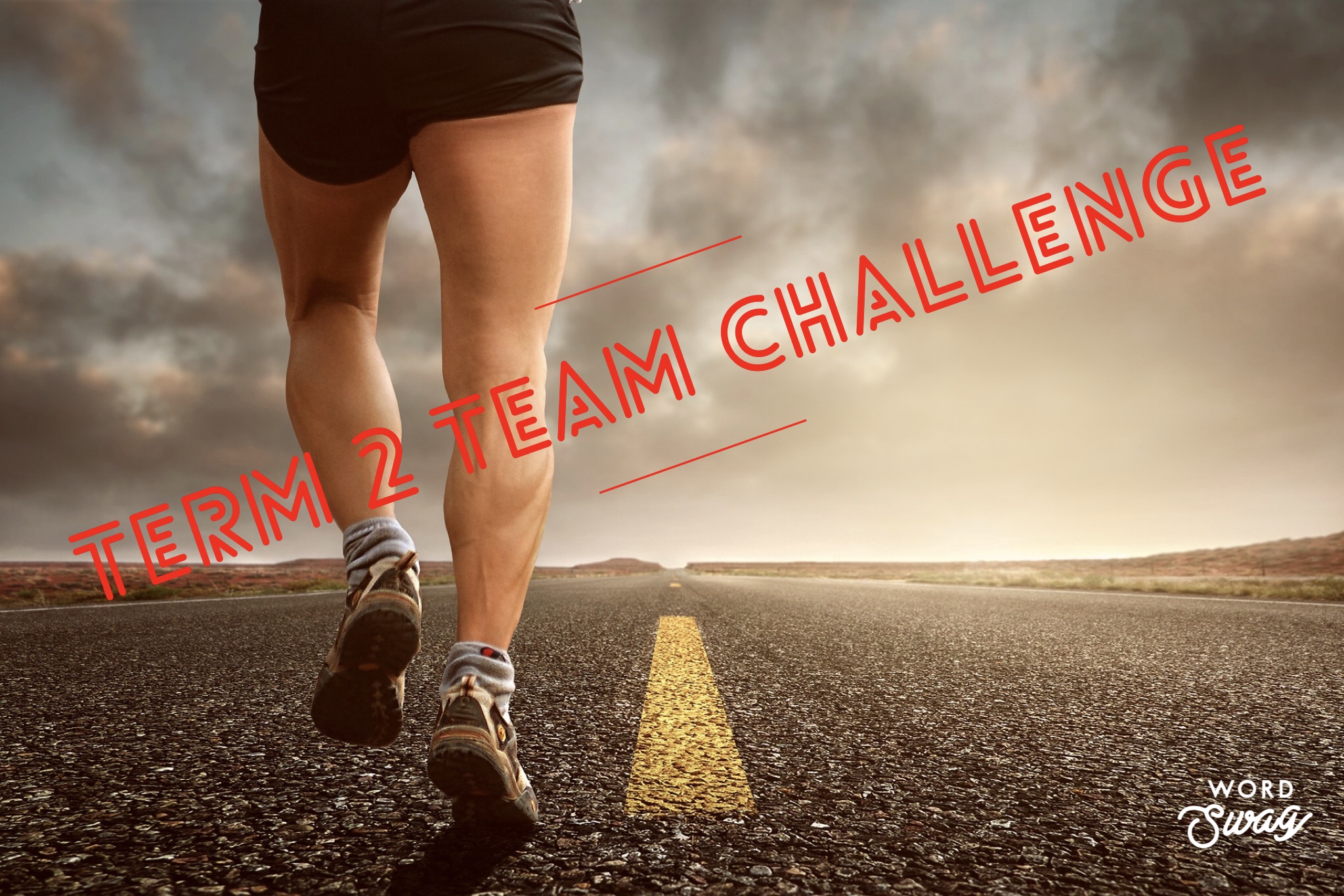 Term 2 Team Challenge